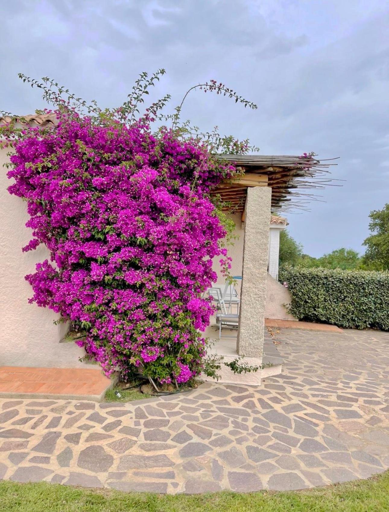 Residence Capraggia Cannigione Exterior photo